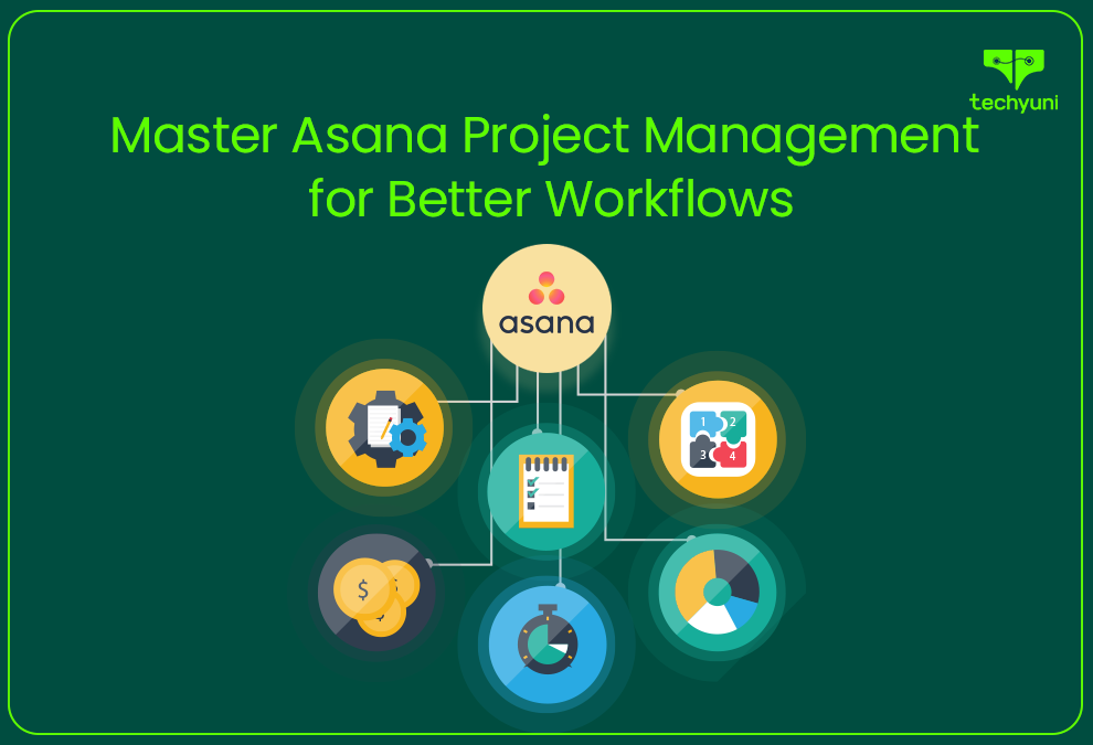 Cover image for The Guide to Asana Project Management tool: Simplify Workflows and Boost Productivity