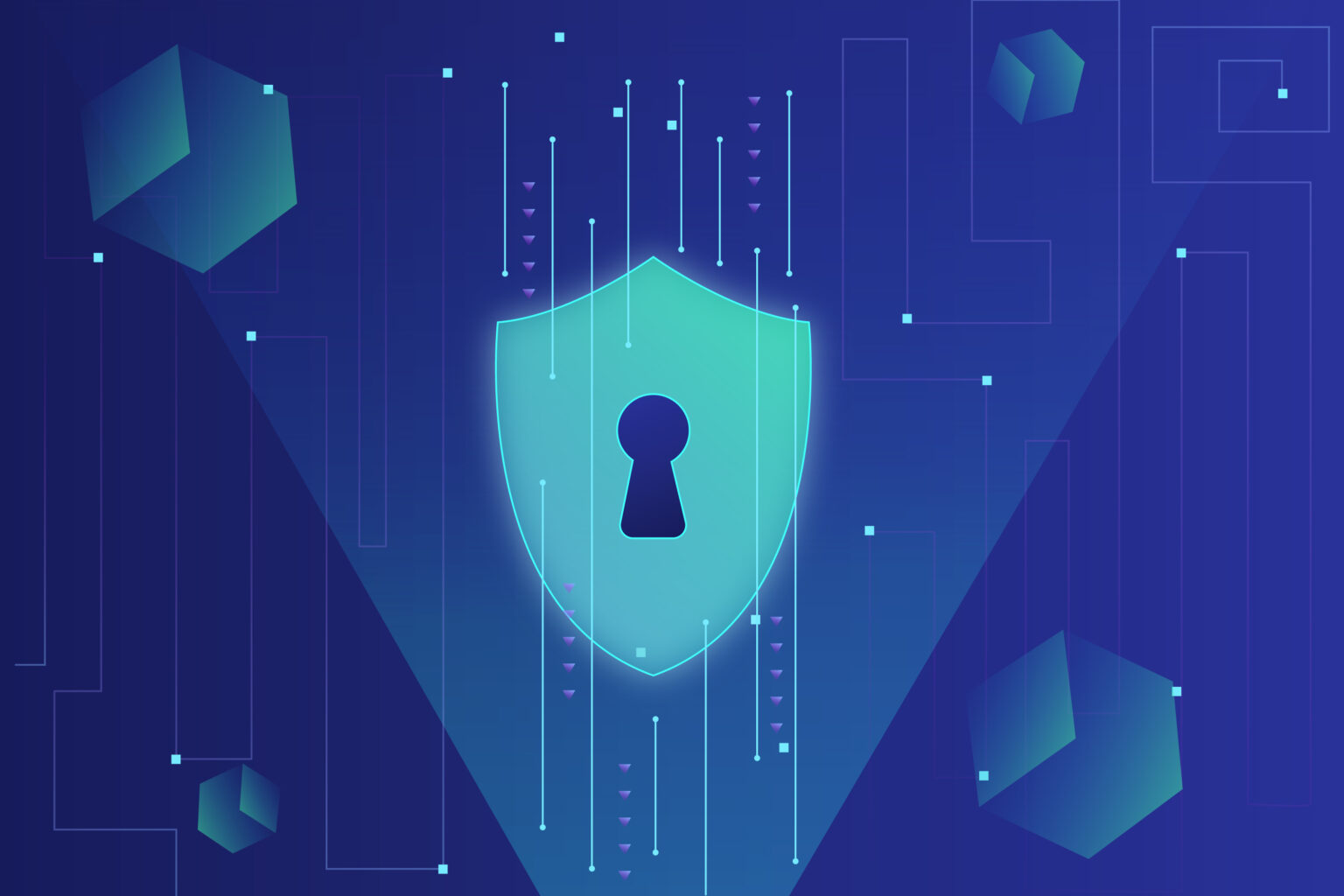 Section image: AI and Data Privacy