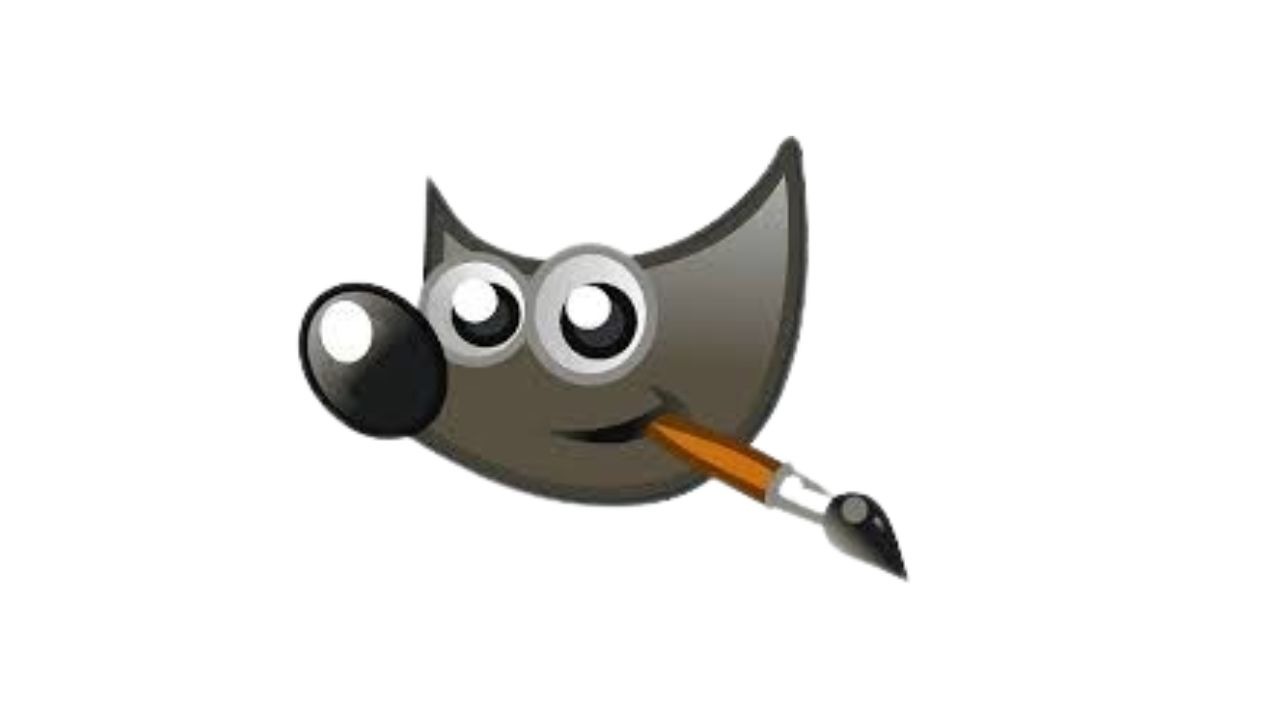 Section image: GIMP